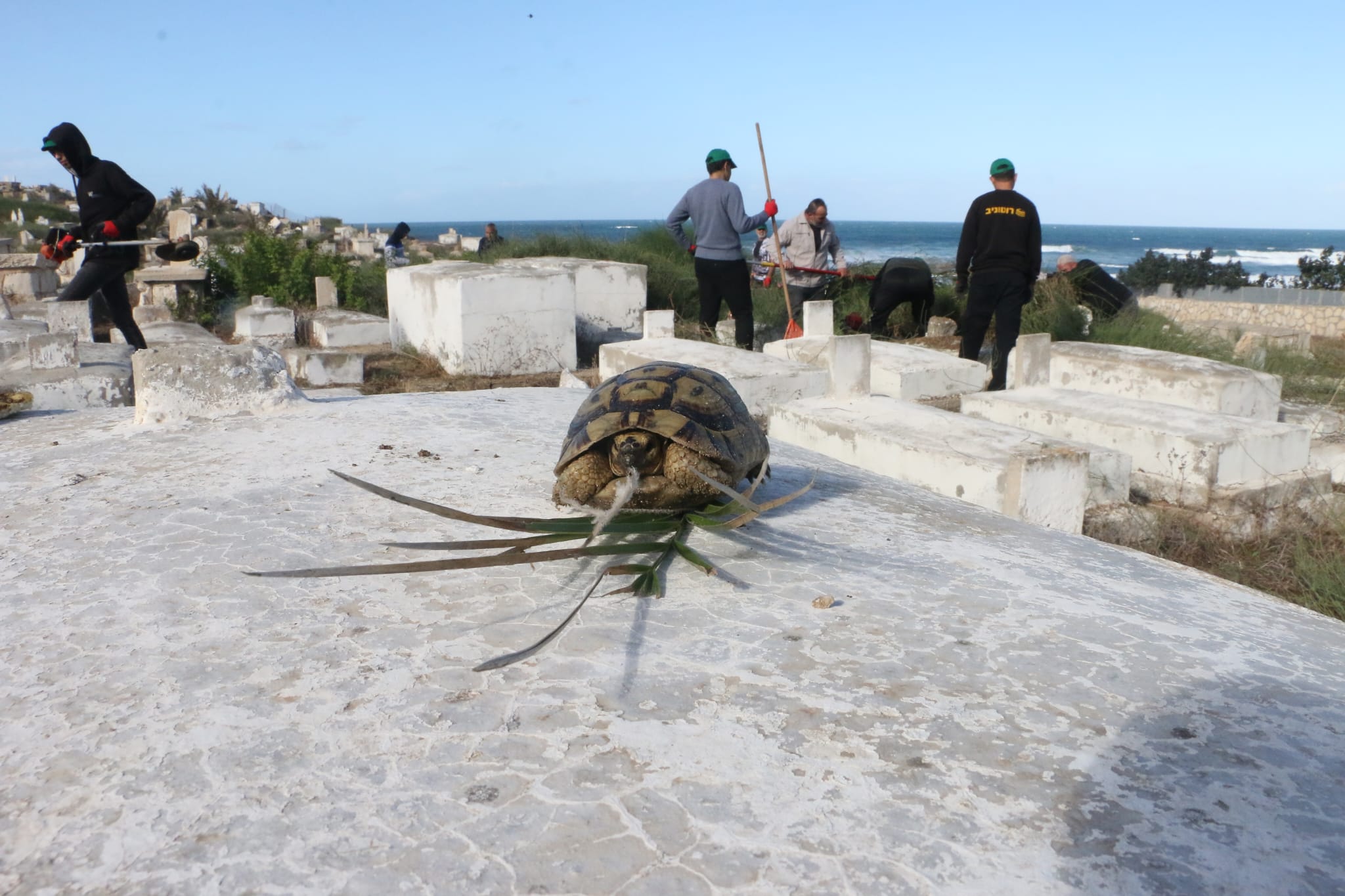 WhatsApp Image 2022-11-26 at 10.01.14 AM (1).jpeg